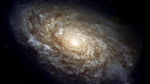 Spiral-Galaxy.jpg